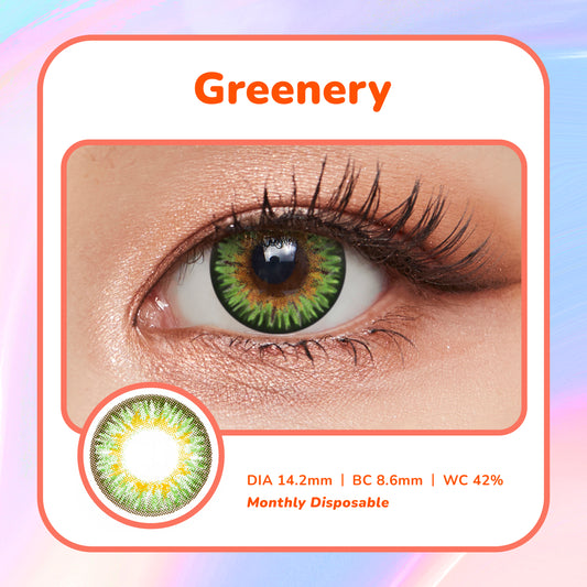 Moosi Lens - Greenery (3-mth contact lens)